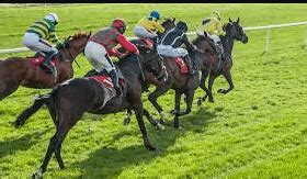 cplemaire.|Thoroughbred Archives .